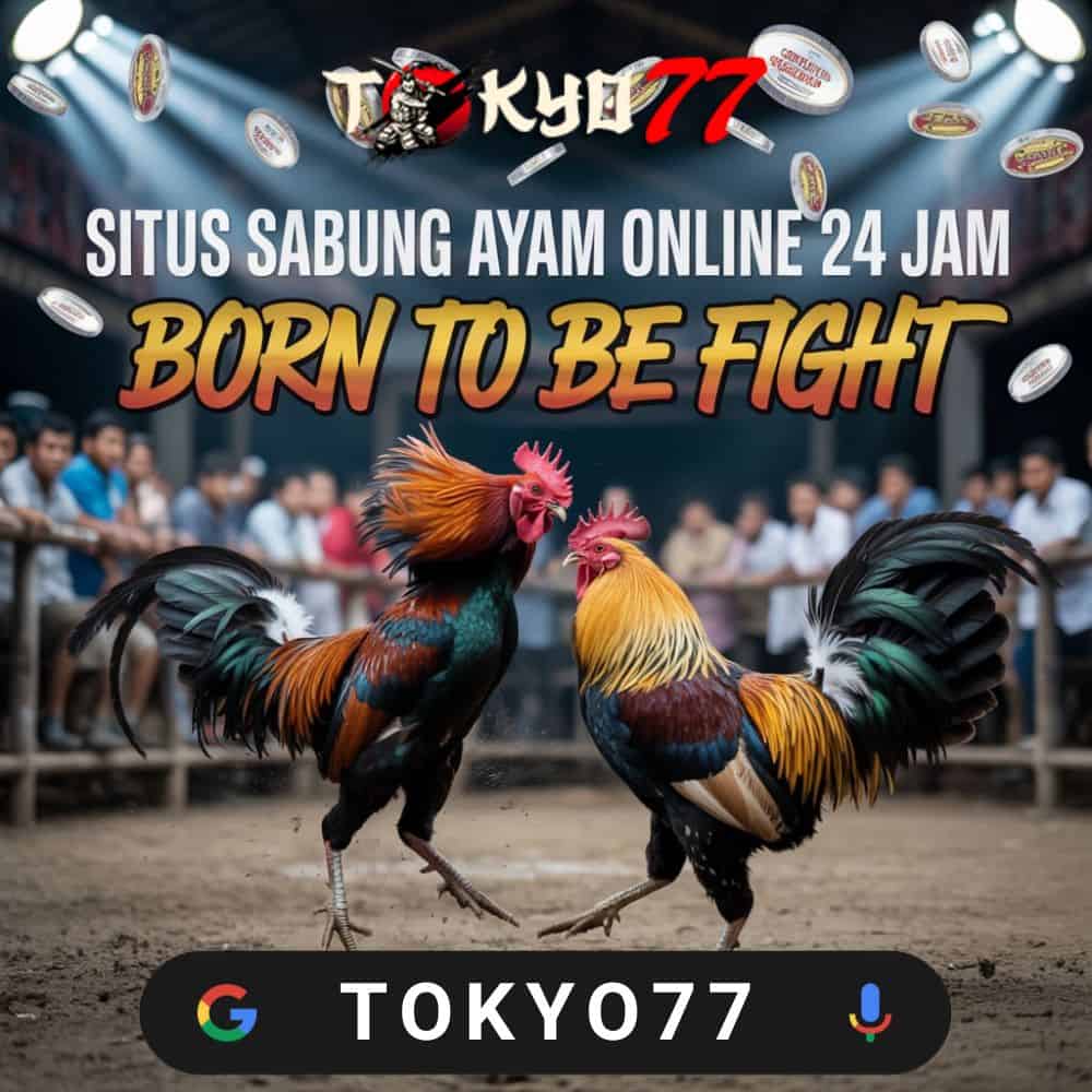 The Ultimate Comparison: Togel, SV388, and Slot777 Features